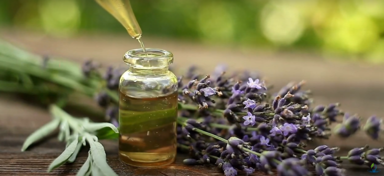 10 Essential Oils for Stress Relief and Relaxation